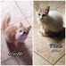 Profile Picture of Tina De Seta (@Tina-De-Seta) on Facebook
