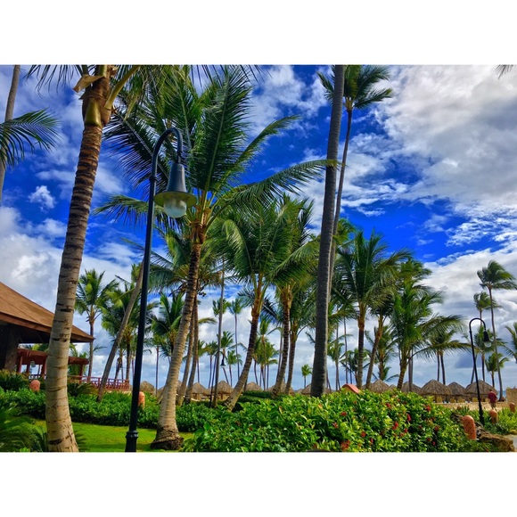 Profile Picture of Alice Rita (@lillyonly) on Poshmark