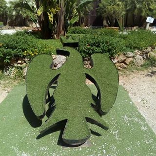 Profile Picture of Daniel Terranova (@daniel.terranova.52056) on Facebook