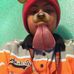 Profile Picture of Randy Engstrom (@randy.engstrom.1291) on Facebook