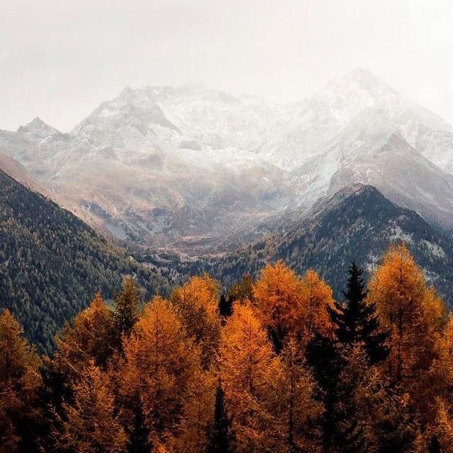 Profile Picture of 🦊 (@cherryjester) on Tiktok