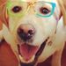 Profile Picture of Cindy Schurr (@cschurr1) on Pinterest