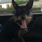 Profile Picture of Jimmy Watson (@jimmy.watson.lelele) on Instagram