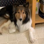 Profile Picture of Jayne Conway Hunter (@carolinajaybird) on Instagram