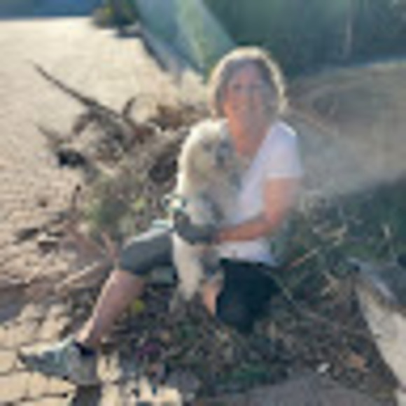 Profile Picture of Linda Patchett (@lindapatchett) on Poshmark