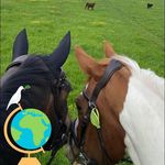 Caroline Holt - Instagram Profile Picture of Caroline Holt (@radarholt) on Instagram