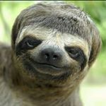 Profile Picture of Jerry Heimbigner (@jerryheimbigner) on Instagram