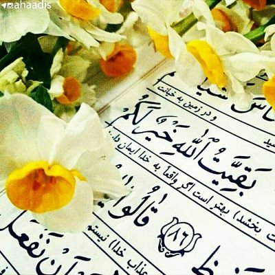 Profile Picture of Sara Moghadam (@SaraMoghadam9) on Twitter