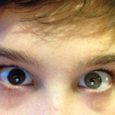 Profile Picture of Chase Phelps (@ChasePhelps3) on Twitter
