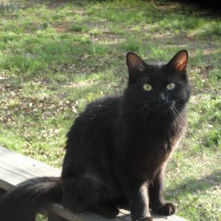 Profile Picture of Darrel Snider (@darrel.snider.5) on Facebook