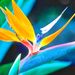 Profile Picture of Debra Sheets (@graphics1956) on Pinterest