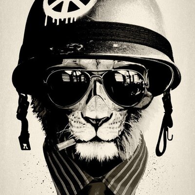 Profile Picture of Alexander Kharchenko (@con2ras) on Twitter