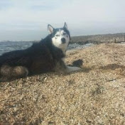 Profile Picture of Kenny Polane (@kennypolane371) on Youtube