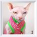 Profile Picture of Lucille Hosmer (@lucille.hosmer.1) on Facebook