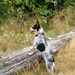 Profile Picture of Luyi Zheng (@luyi) on Pinterest