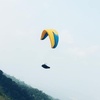 Profile Picture of Dũng Bùi (@@dungbui599999) on Tiktok
