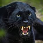 Profile Picture of Doh Htoo (@doh.htoo.128561) on Facebook