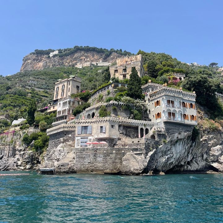 Profile Picture of Janos (@janosrose) on Tiktok