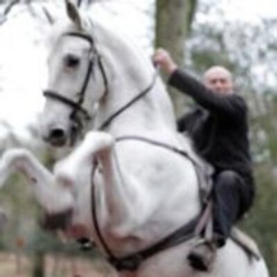 Profile Picture of Mike Loades (@mikeloades) on Twitter