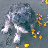 Lesa Kramer - Quora Profile Picture of Lesa Kramer (@lesa-kramer) on Quora