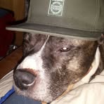 Profile Picture of Juan Noell Rustveld (@Juan-Noell-Rustveld) on Facebook