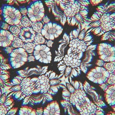 Profile Picture of Alexander DiGena (@AlexanderDiGena) on Twitter