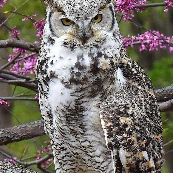 Profile Picture of Murt Wittekind (@murt60) on Poshmark