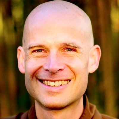 Profile Picture of Thay Phap Luu (@brstream) on Twitter