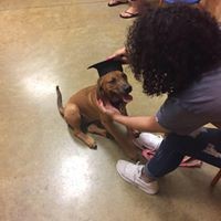 Profile Picture of Brianna Mitchell (@brianna-mitchell-41) on Quora