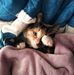 Profile Picture of Mark Conard (@mark.conard.927) on Facebook