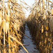 Profile Picture of Taylor Greer Photography (@youngpaping) on Youtube