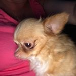 Patti DiMatteo Vandia - Instagram Profile Picture of Patti DiMatteo Vandia (@pattivandia) on Instagram