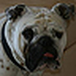 Profile Picture of Michael Crowell (@michael crowell) on Flickr