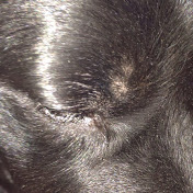 Profile Picture of Erik Foss (@erikfoss5278) on Youtube