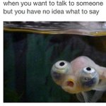 Profile Picture of Marcy Parsons (@parsons__76) on Instagram