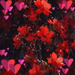 Profile Picture of Candy Nguyen (@candy.nguyen.436918) on Facebook