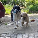 Profile Picture of Petr Ellinger (@Petr-Ellinger) on Facebook