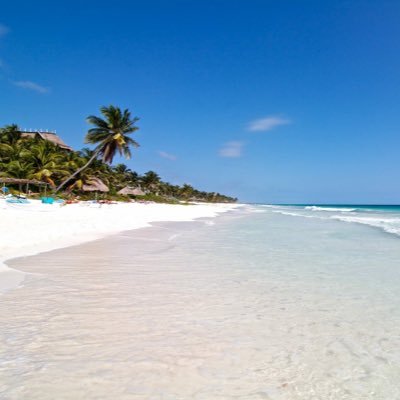 Profile Picture of Richard Trev Lloyd (@rtlloydba) on Twitter