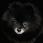 Profile Picture of Alex Tavarez (@alex_in_chains) on Instagram