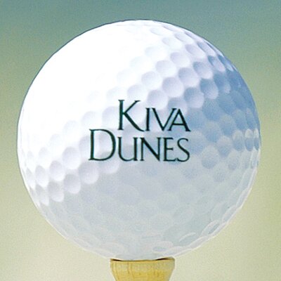 Profile Picture of Kiva Dunes (@KivaDunesAl) on Twitter