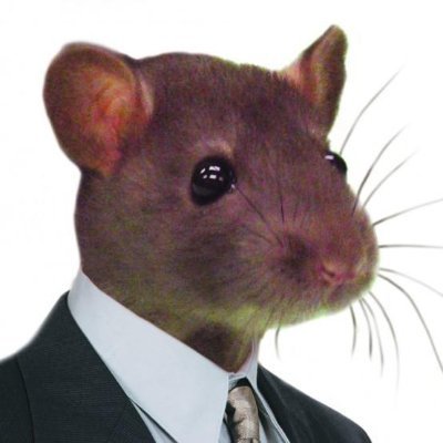 Profile Picture of Stephen Nell (@SNell1225) on Twitter