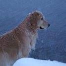 Profile Picture of Albert Legge (@albert.legge) on Facebook