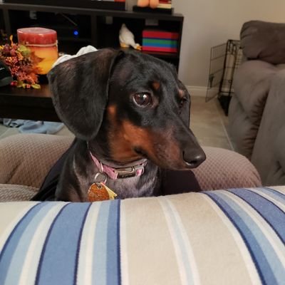 Profile Picture of Debbie Jarvis (@djarvis31) on Twitter