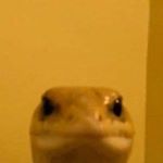 Profile Picture of Thanosmode (@petergriffinthanos) on Instagram