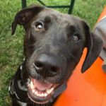 Profile Picture of lara kaufmann (@lara_kaufmann_98) on Instagram