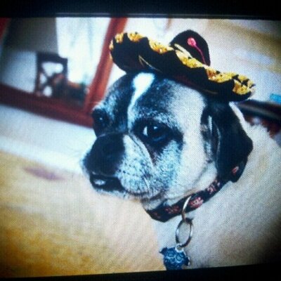 Profile Picture of Christopher Boynton (@cdboynton) on Twitter