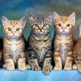 William Milewsky - Facebook Profile Picture of William Milewsky (@William-Milewsky) on Facebook