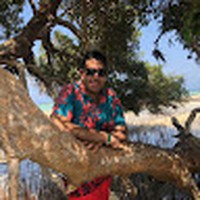 Profile Picture of Andrew Labib (@andrew-labib-4) on Quora