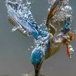 Profile Picture of Rita Albert-Seitz (@riseitz) on Instagram