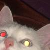 Profile Picture of чё? (@@alice_neel_) on Tiktok